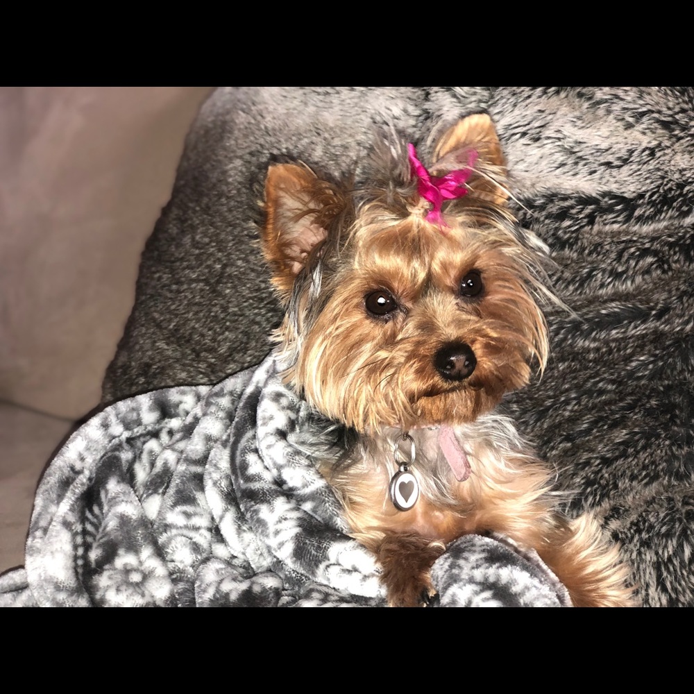 Meet your Posher, Hannah
